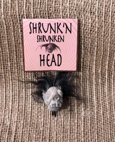 Shrunk'n Shrunken Head